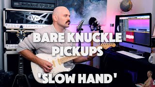 Slow Hand Single Coil Set PlayThrough with Dan Stevens [upl. by Aleuqahs]