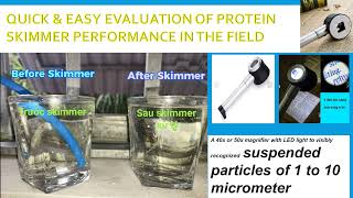 Evaluating a Protein Skimmer performance [upl. by Anstice304]