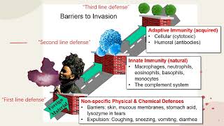 Immunopathology II [upl. by Ennaoj]