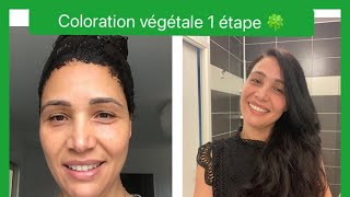 Coloration végétale cheveux blanc 🍀les secrets pour coloration végétale réussite 🍒 [upl. by Idette694]