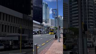 Wellington city Walk Newzealand city walk [upl. by Amlet82]