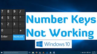 Number Keys not Working in Windows 10 and Windows 11  1 Simple Fix [upl. by Philbert]