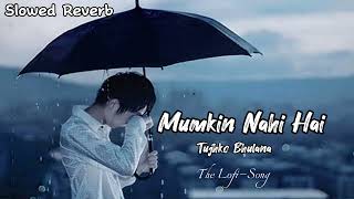 Mumkin Nahi Hai Tujko Bhulana  Slowed  Reverb  LofiSong lofi lofimusic youtubevideo song [upl. by Gierk]