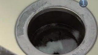 How To Wash Your Garbage Disposal With Borax [upl. by Griff]