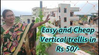 How to make easy and cheap vertical trellis 50rs [upl. by Alford]