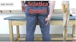 Sciatica Nerve Glides  Sciatic Nerve Entrapment Sciatica Pain Relief [upl. by Eppes]