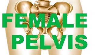 Female Bony Pelvis Types  In relation to CHILDBEARING [upl. by Damas]