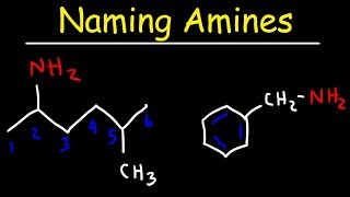 Matriculation Chemistry  Topic 51 Alcohols  IUPAC Nomenclature and Classification [upl. by Esiuolyram]