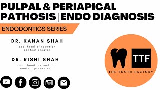 Pulpal amp Periapical Diagnosis  Endodontics Diagnostic Test  Dental Education [upl. by Essirahc]