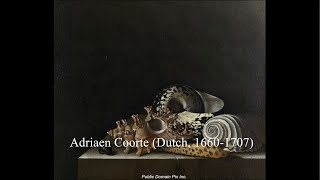 0064 Adriaen Coorte [upl. by Wilton585]