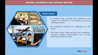 Sectors of the Indian Economy  Economics  Class 10 [upl. by Nett]