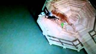 HD DEAD BODY ON GOOGLE MAPS Asesinato en vivo gogle mapas 523765525198303 [upl. by Angelico]