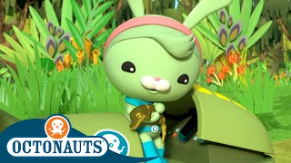 ​Octonauts  The Great Swamp Adventure  Fathers Day Special Part 1  Full Episodes [upl. by Caril]