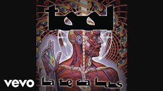 TOOL  Lateralus Audio [upl. by Anaitit]