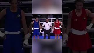 Algerian Boxer vs Mexican Boxer [upl. by Gefen]