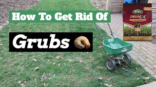 Grub Control  How To Get Rid Of Grubs Early in the Spring [upl. by Ortensia]