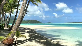 Private Island 🏝 Tour Tropical Beach  Motu Tane Bora Bora French Polynesia 🇵🇫  4K Ultra HD Travel [upl. by Kenzie661]