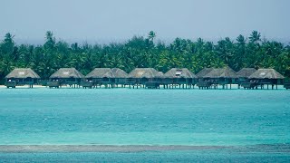 One Day In Port  Bora Bora [upl. by Gylys69]