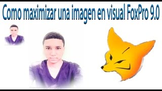 Como maximizar una imagen  Visual FoxPro 90 [upl. by Ball248]