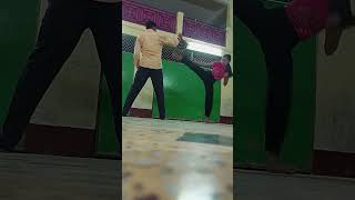 karate kick training [upl. by Naujyt]