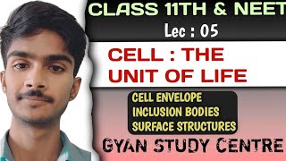 Parts of Prokaryotic Cell  envelope P membrane cell wall Cytoplasm Flagella etcBiology [upl. by Lalise]