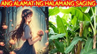 ALAMAT NG SAGING  ang storya ng halamang saging dahonandpets alamatngsaging [upl. by Anilosi]