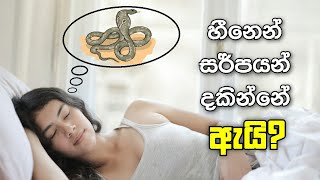 සර්පයන් දැකීමේ සිහින පලාපල  sihina palapala [upl. by Medeah]