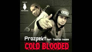 Prozpekt Ft Twisted Insane  Cold Blooded Prod MetroGnome [upl. by Sabec]