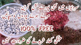 Free 100 Organic Fertiliser for All Plants  Fertiliser for Plants in Winter  Save Dying Plants [upl. by Nnaeed]