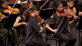 12 Concerto Grosso For Strings Karl Jenkins Palladio [upl. by Seavir953]