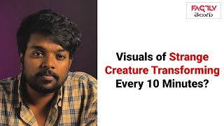 Visuals of Strange Creature Transforming Every 10 Minutes [upl. by Nilcaj99]