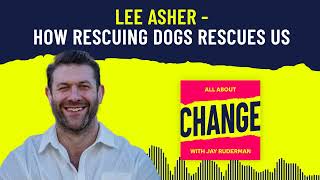 Lee Asher  How Rescuing Dogs Rescues Us [upl. by Rieger]