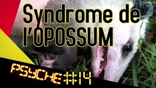 Le syndrome de lopossum  PSYCHE 14 [upl. by Aerdnael]