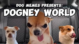 DOG MEMES TO DOGNEY WORLD PT1 [upl. by Burrus]