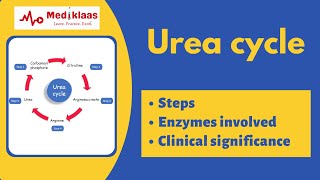 Urea cycle biochemistry [upl. by Nidnerb]