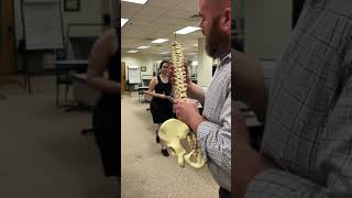 Arthrokinematics of the spine flexextsb [upl. by Otokam]