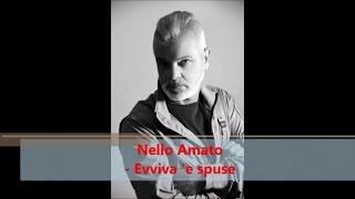 Nello Amato  Evviva e spuse Official audio [upl. by Oneil]