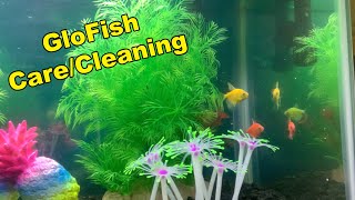 Beginners Guide To CaringCleaning A GloFish Tank  Tutorial [upl. by Attenhoj]