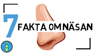 7 FAKTA OM NÄSAN [upl. by Anawek]