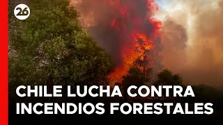 CHILE  Bomberos luchan contra incendios forestales [upl. by Thalassa208]