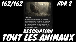 Tout Les Animaux Red Dead Redemption 2 [upl. by Selrahc903]