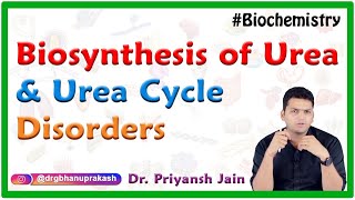 Biosynthesis Of Urea Urea cycle Steps Site Regulation and Urea cycle disorders  USMLE Step 1 [upl. by Ettigdirb254]