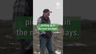 quotIts not getting any betterquot  farmer on continued wet weather [upl. by Dyol397]