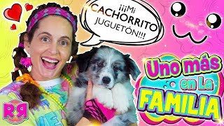 UNO MÁS en la FAMILA 🐶 TAG de la MASCOTA NUEVO MIEMBRO revoltoso 🐕 Perritos cachorros YOUTUBERS [upl. by Runkle]