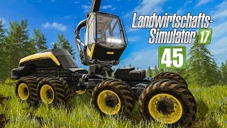 LS17 Forst 45  Das XXLFörderbandprojekt geht los I LANDWIRTSCHAFTSSIMULATOR 17 FORSTProjekt [upl. by Rodrique]