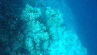 Snorkeling Blue Hole Dahab [upl. by Standish]