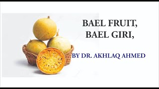 BAEL GIRI  BAEL FRUIT Aegle marmelos [upl. by Obbard]