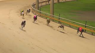 Rockhampton06112024Race11 [upl. by Hawker9]