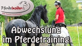 Warum Abwechslung im Pferdetraining so wichtig ist [upl. by Sukin]