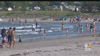 Public Warned About Giant Dangerous Jellyfish At Nahant Beach [upl. by Aiet]